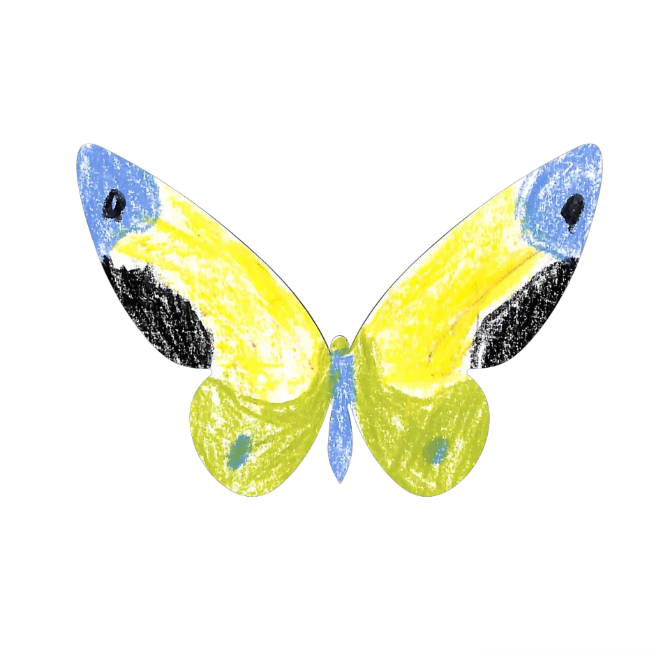 Original Butterfly Image