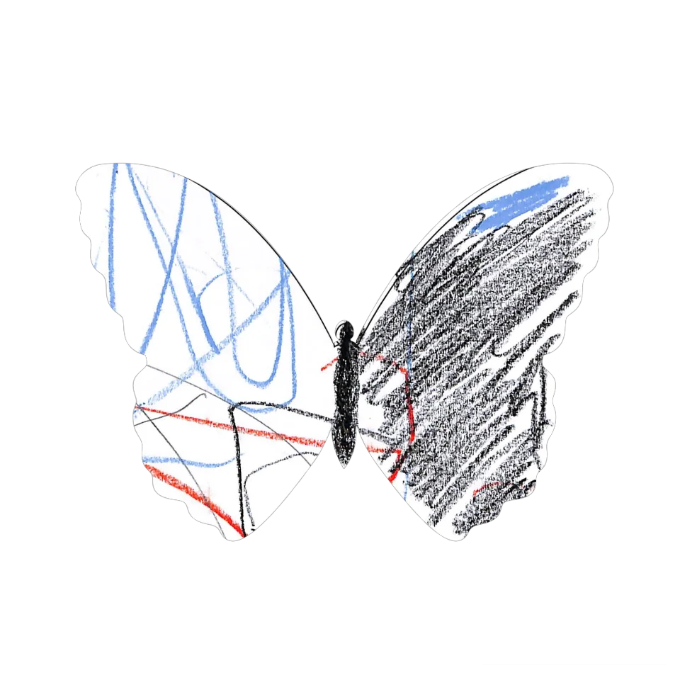 Original Butterfly Image