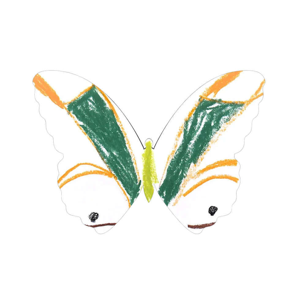 Original Butterfly Image
