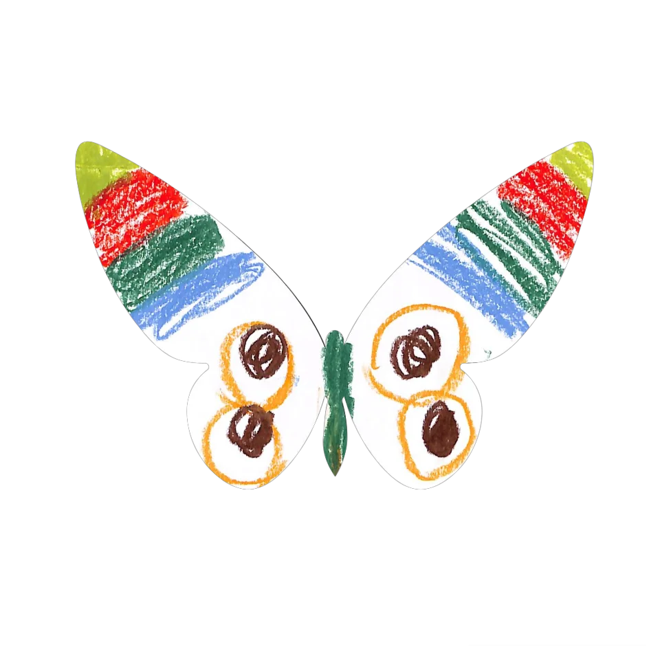 Original Butterfly Image