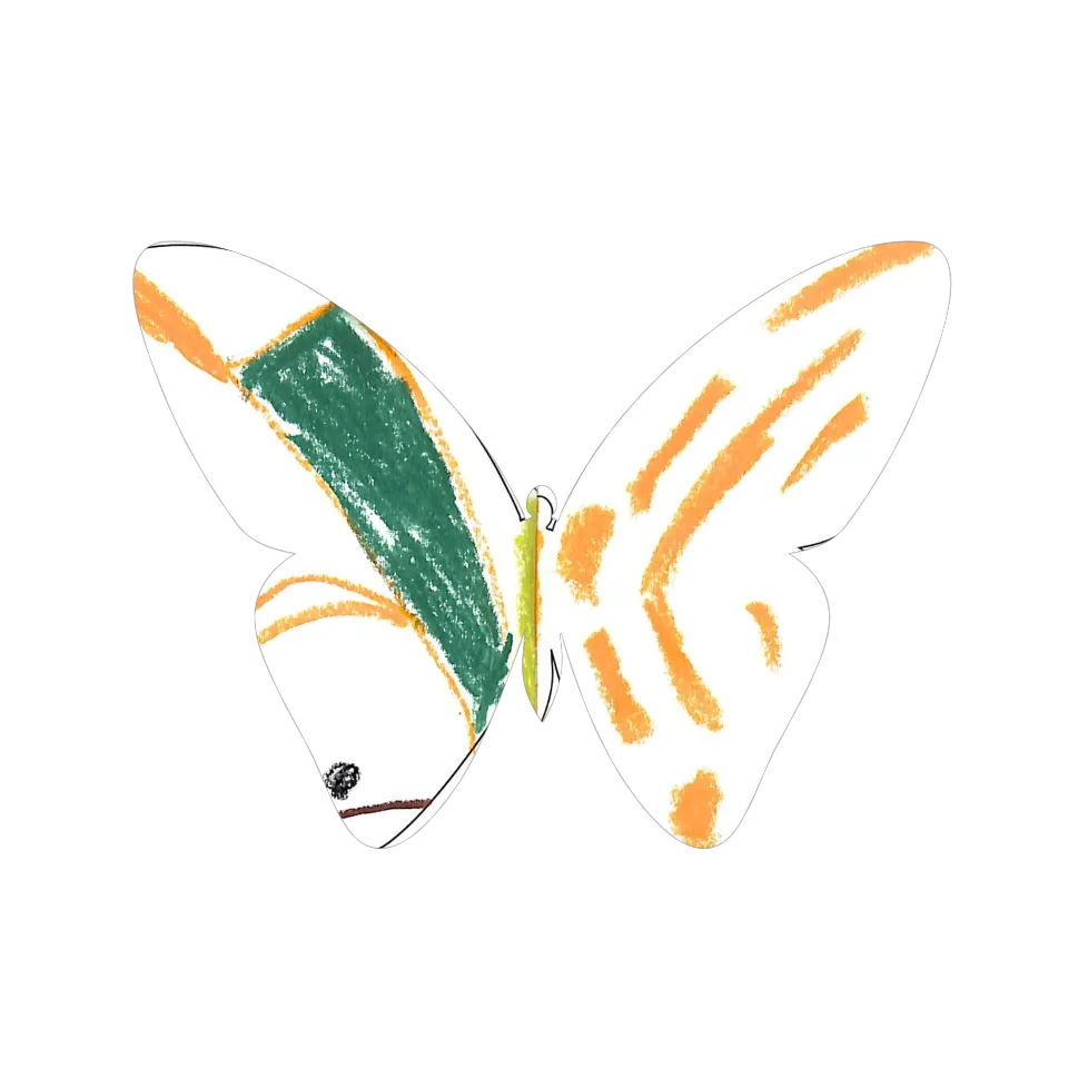 Original Butterfly Image