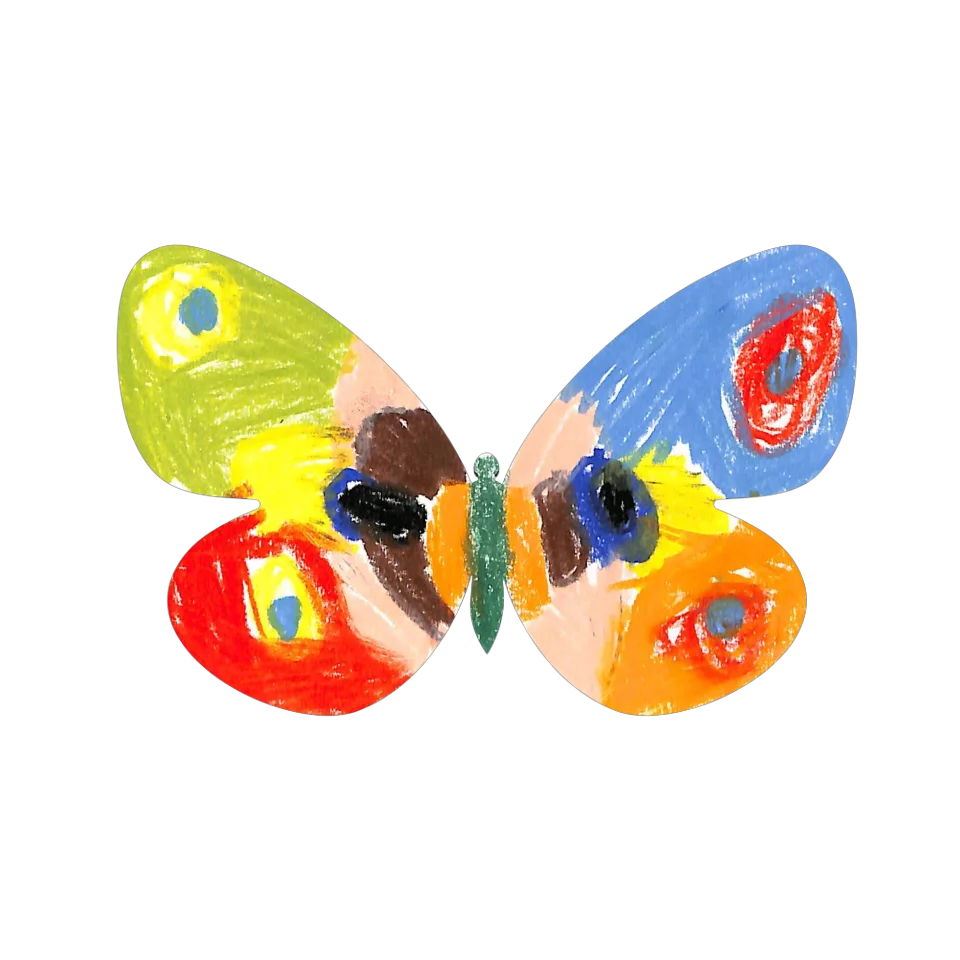 Original Butterfly Image