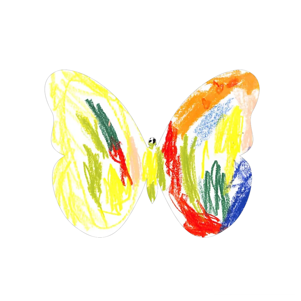 Original Butterfly Image