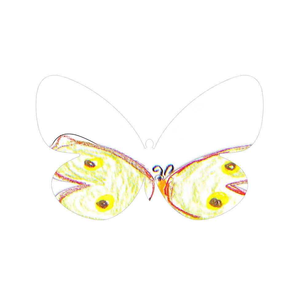 Original Butterfly Image