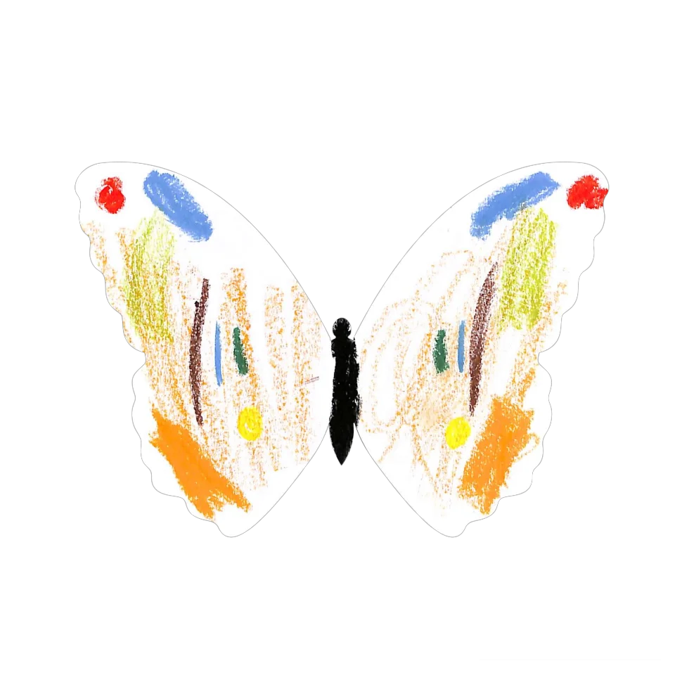 Original Butterfly Image