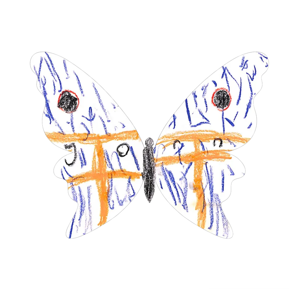 Original Butterfly Image