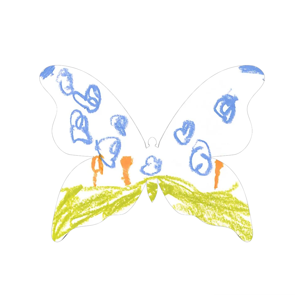 Original Butterfly Image