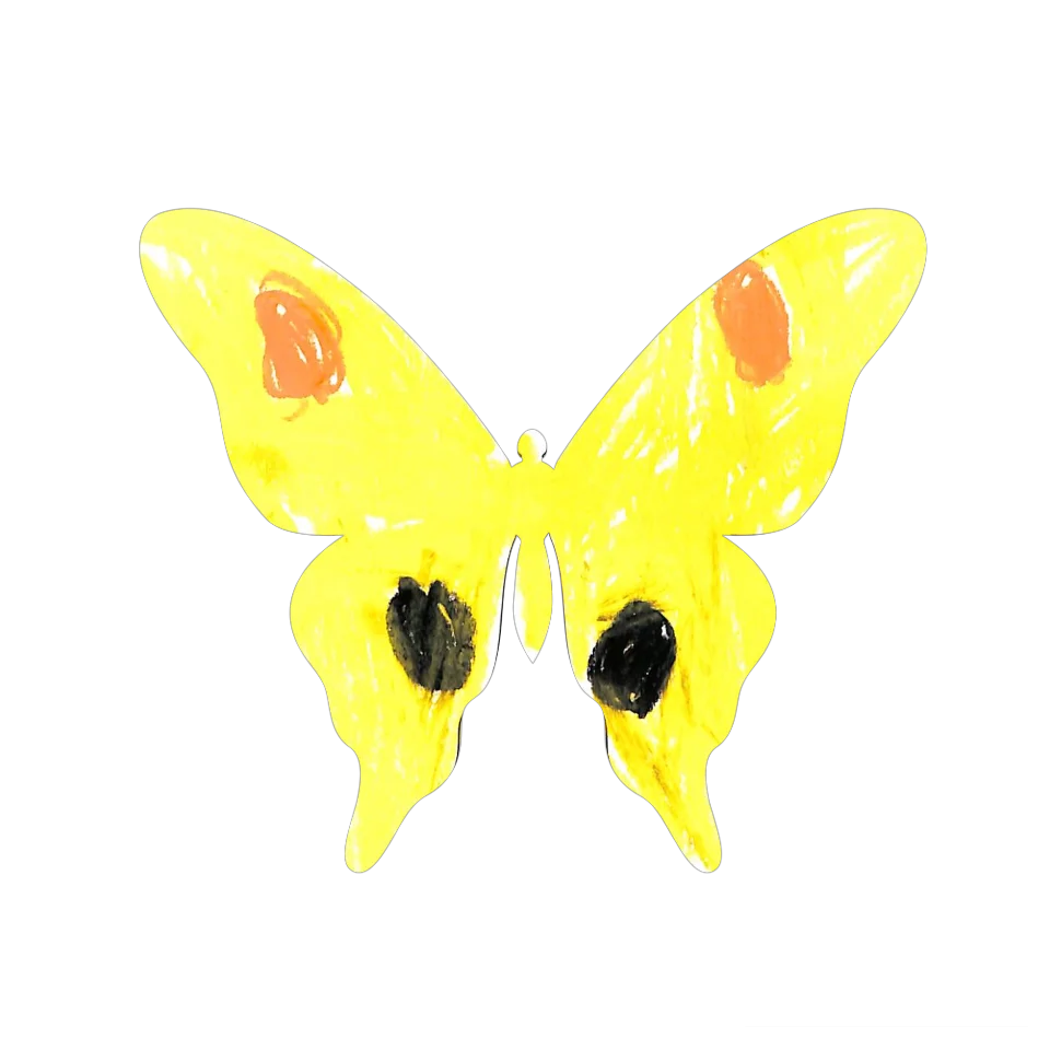 Original Butterfly Image