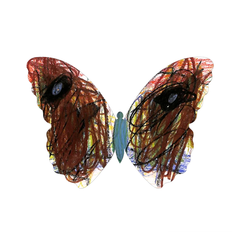 Original Butterfly Image