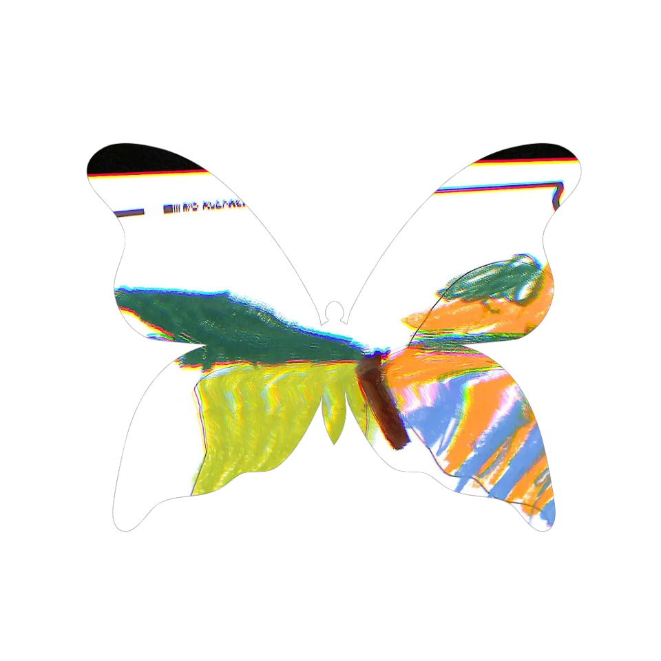 Original Butterfly Image