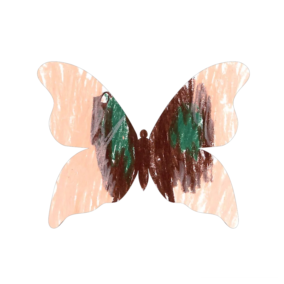 Original Butterfly Image