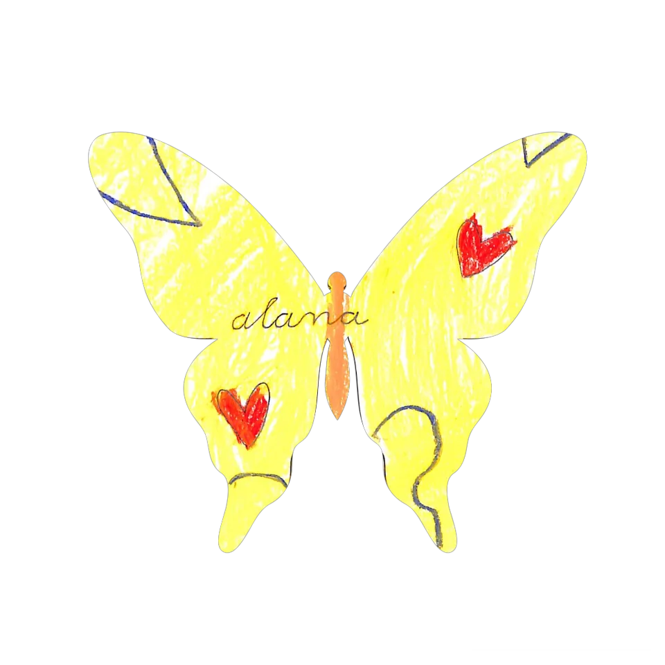 Original Butterfly Image