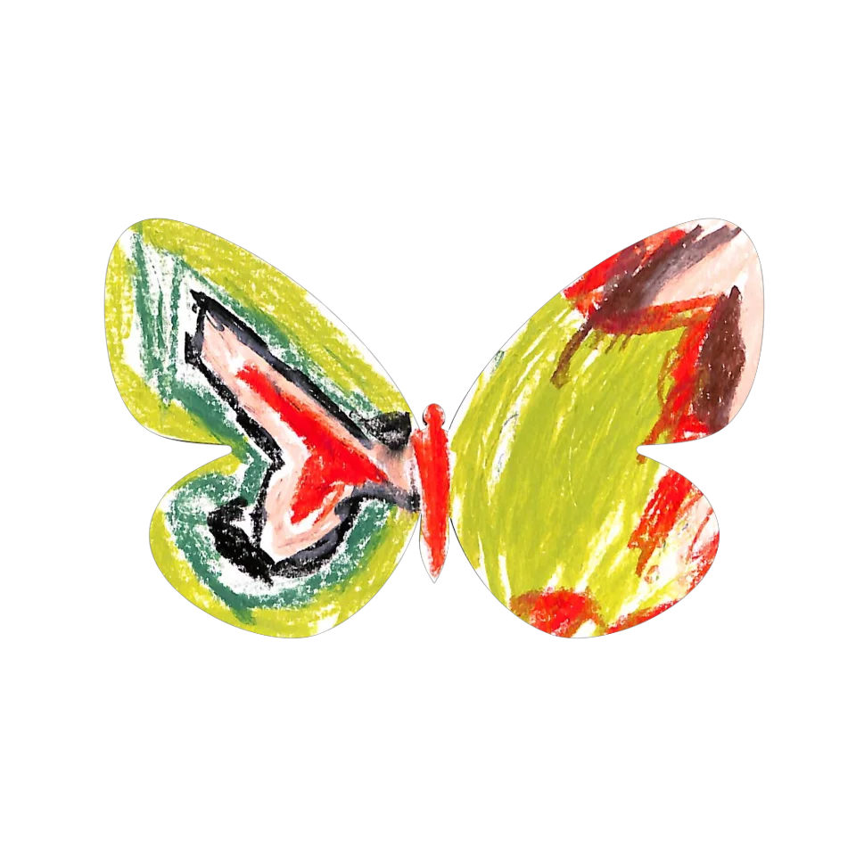 Original Butterfly Image