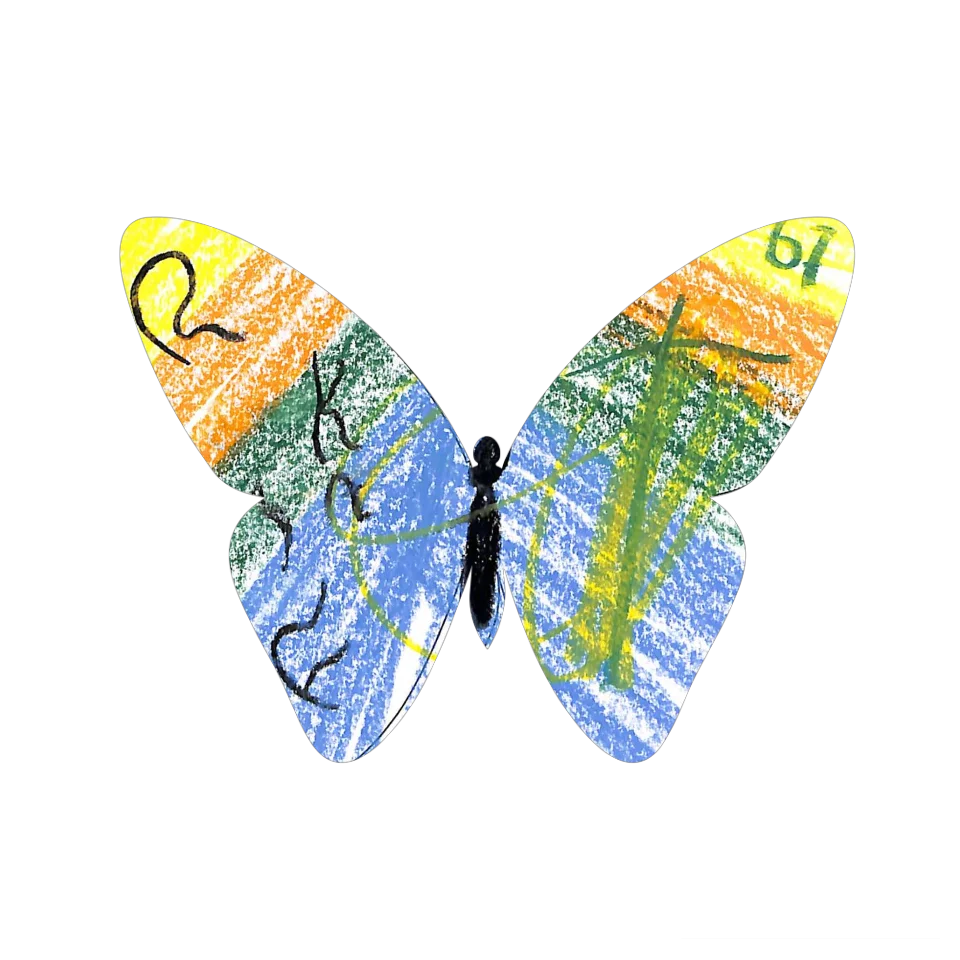 Original Butterfly Image