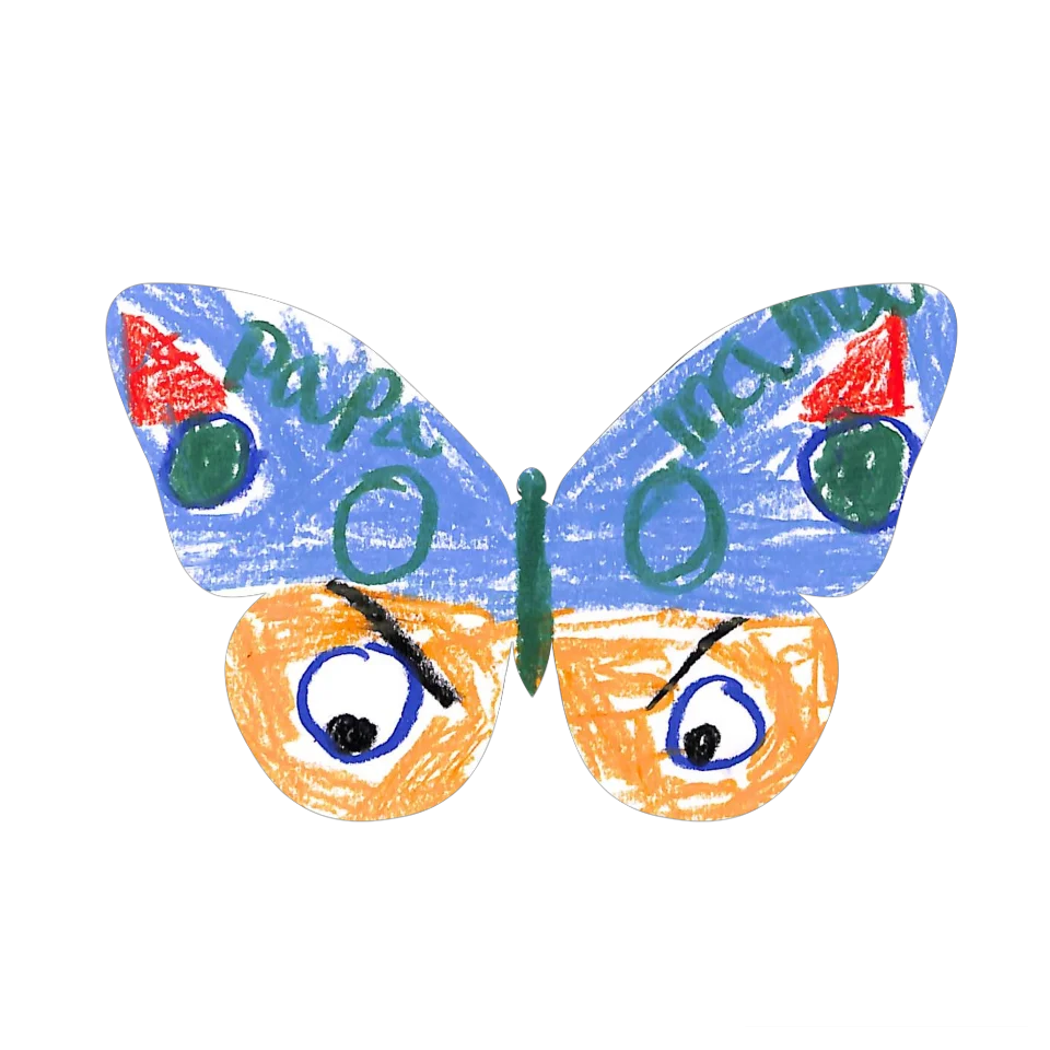 Original Butterfly Image