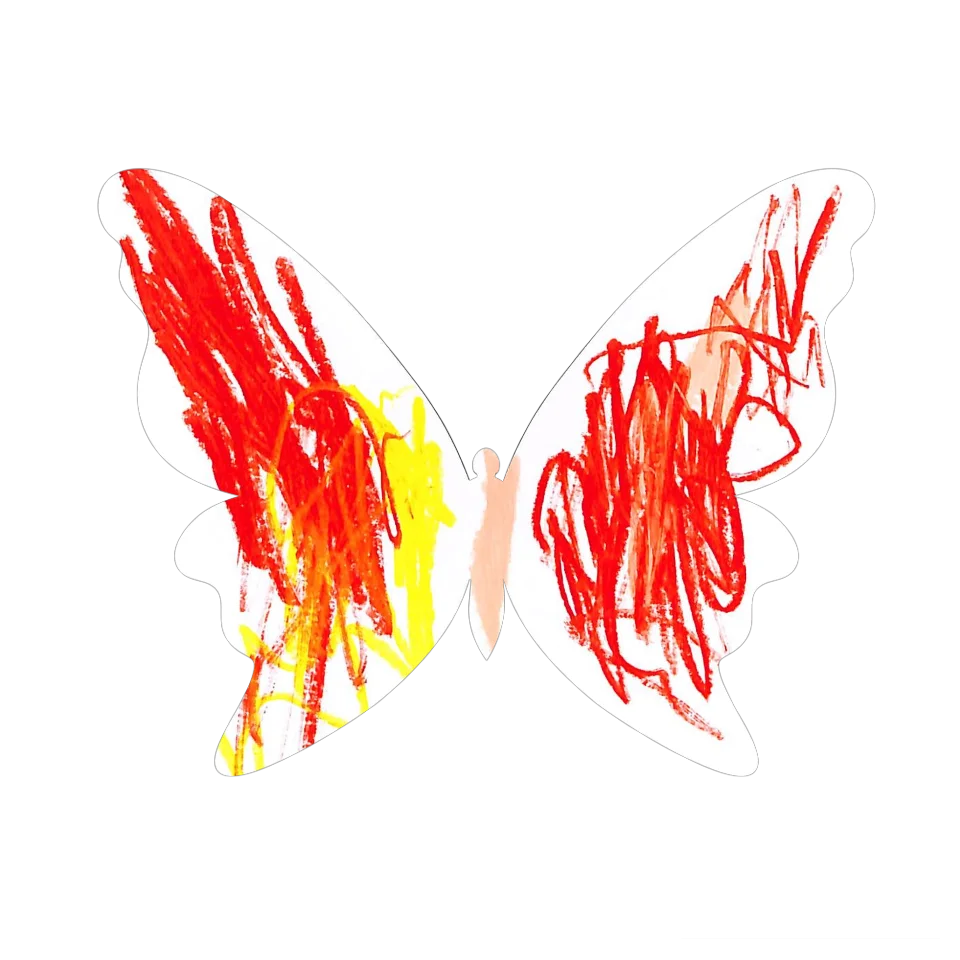 Original Butterfly Image