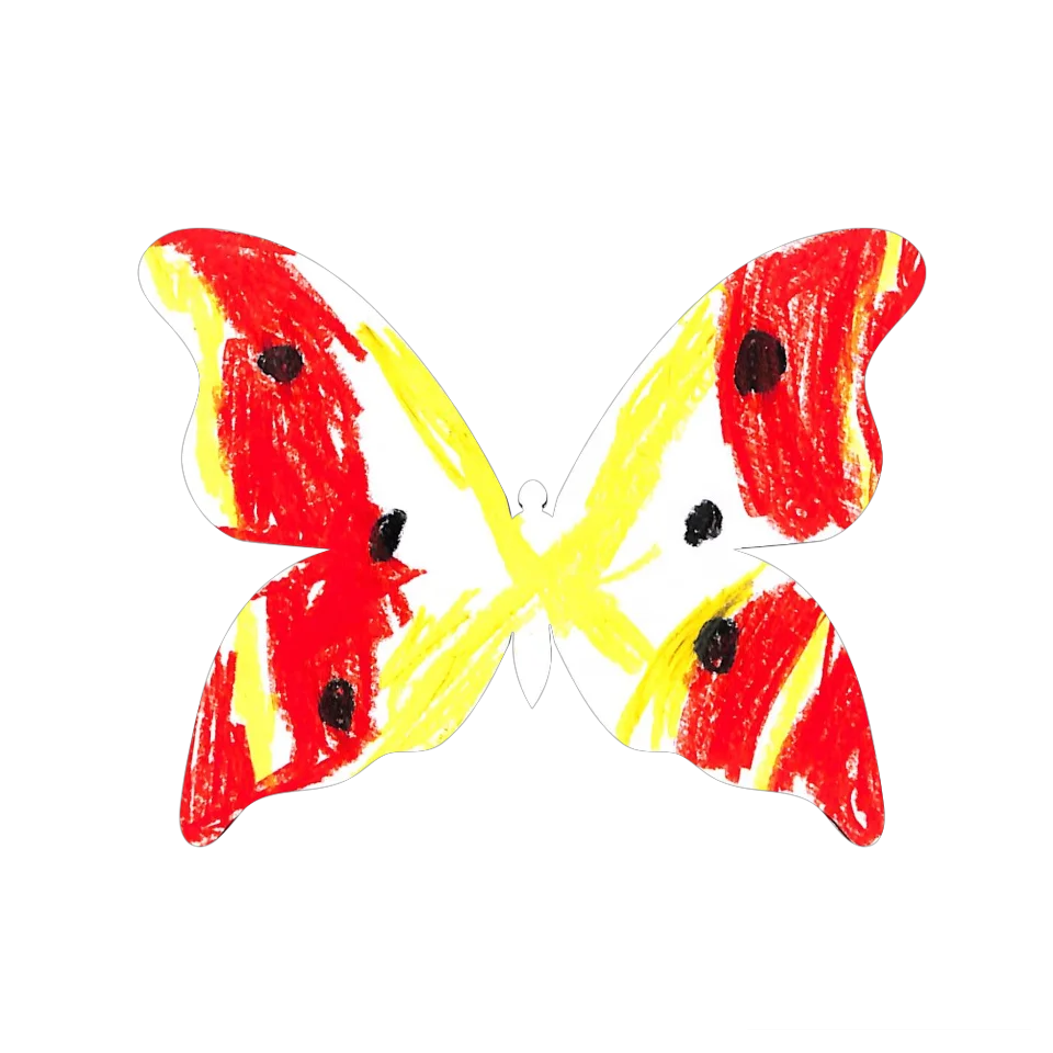 Original Butterfly Image