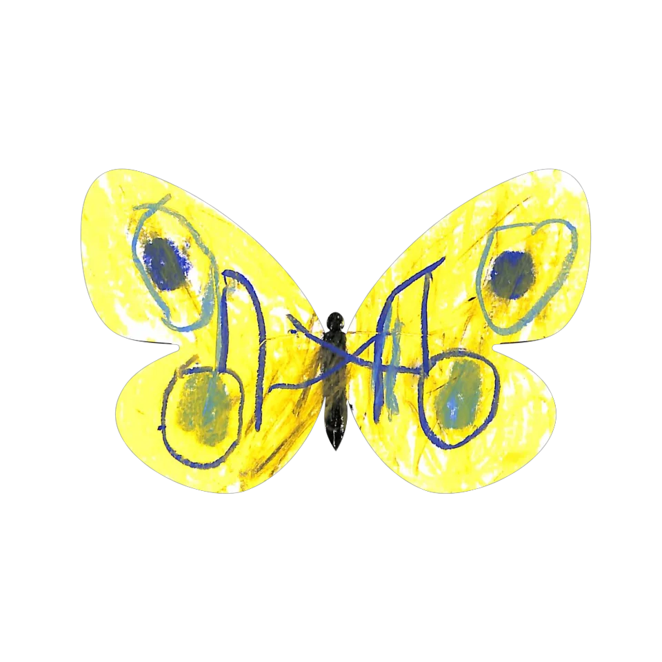 Original Butterfly Image