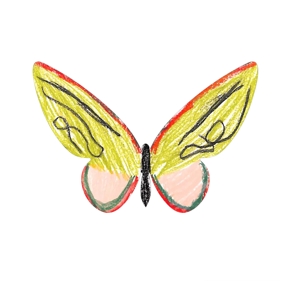 Original Butterfly Image