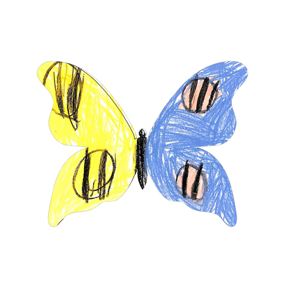 Original Butterfly Image