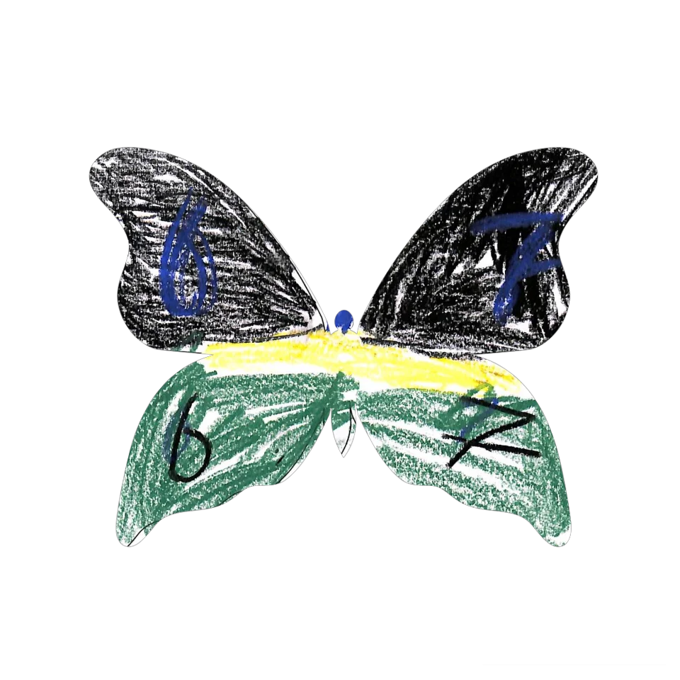 Original Butterfly Image