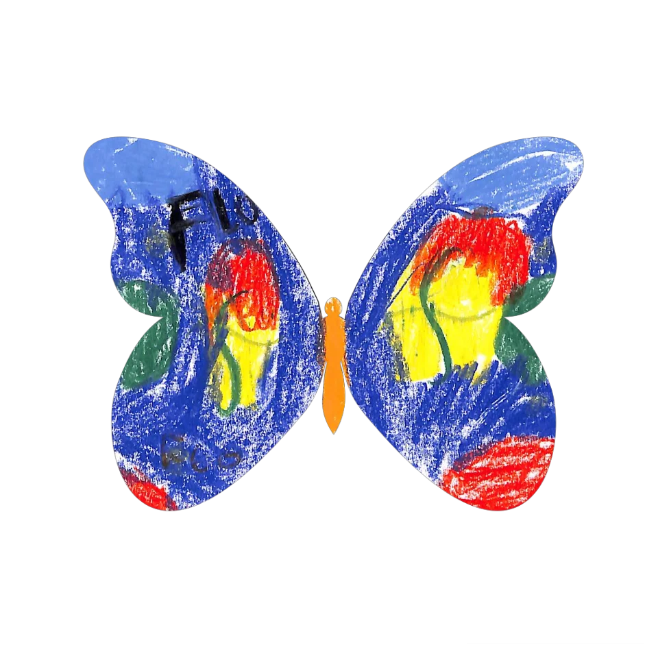 Original Butterfly Image