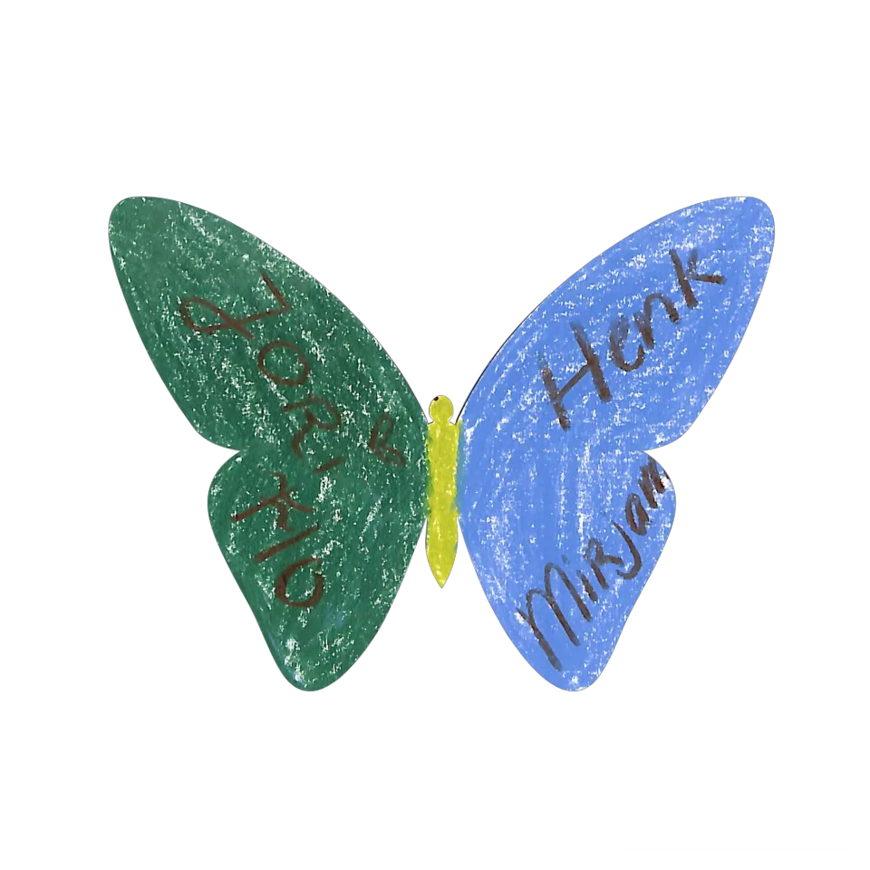 Original Butterfly Image