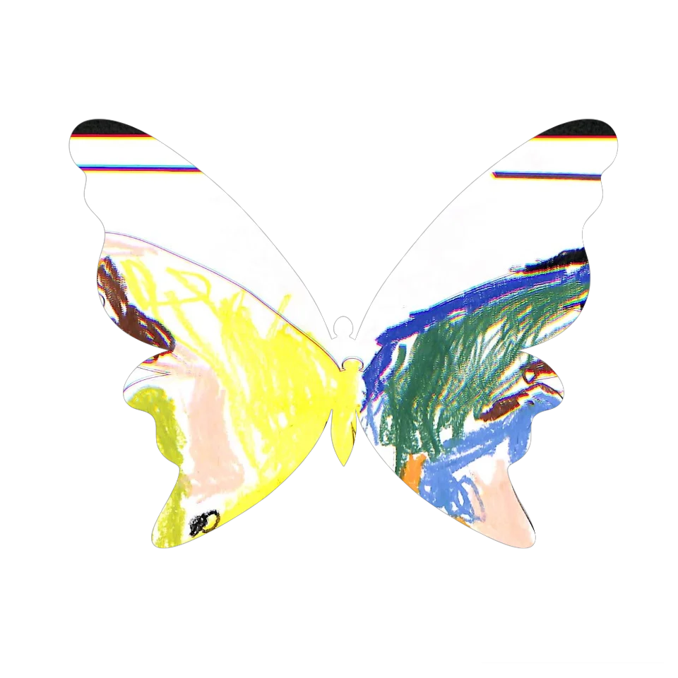 Original Butterfly Image