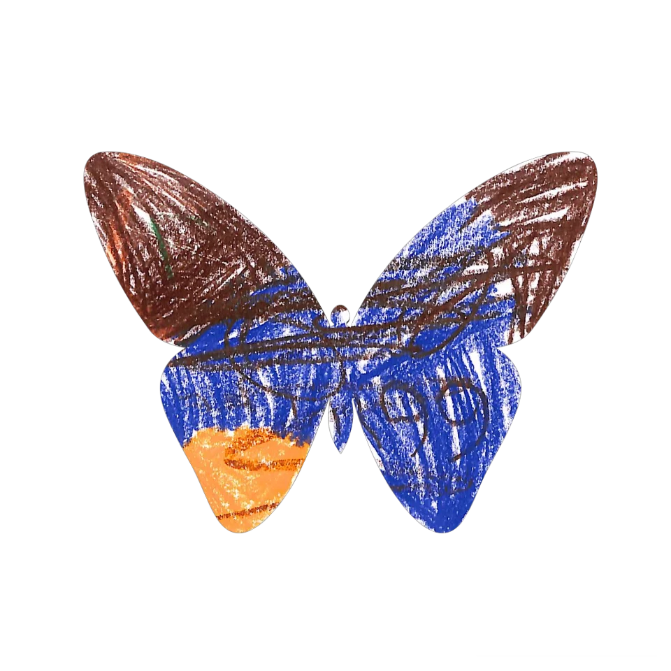 Original Butterfly Image