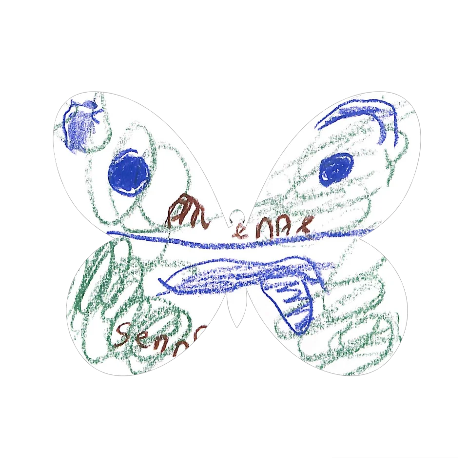 Original Butterfly Image