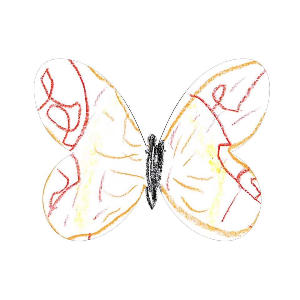 Original Butterfly Image