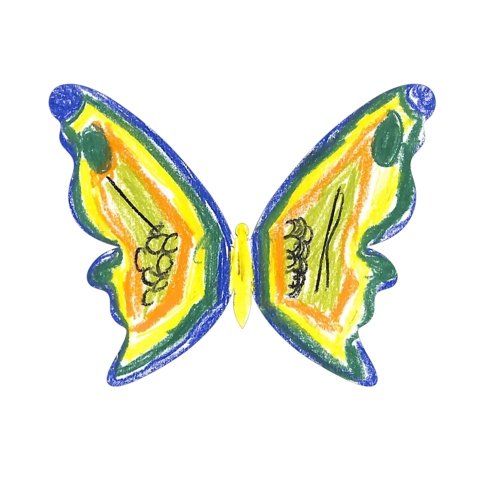 Original Butterfly Image