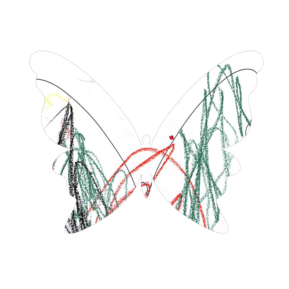 Original Butterfly Image