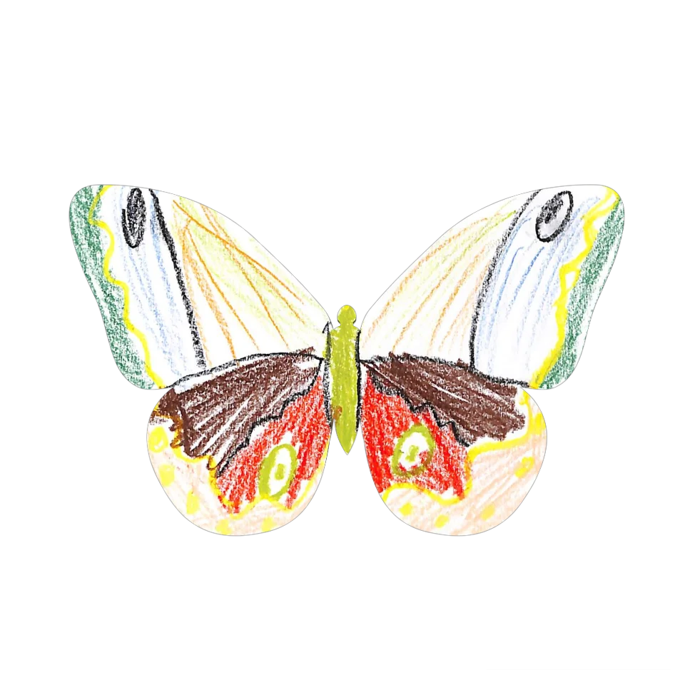 Original Butterfly Image