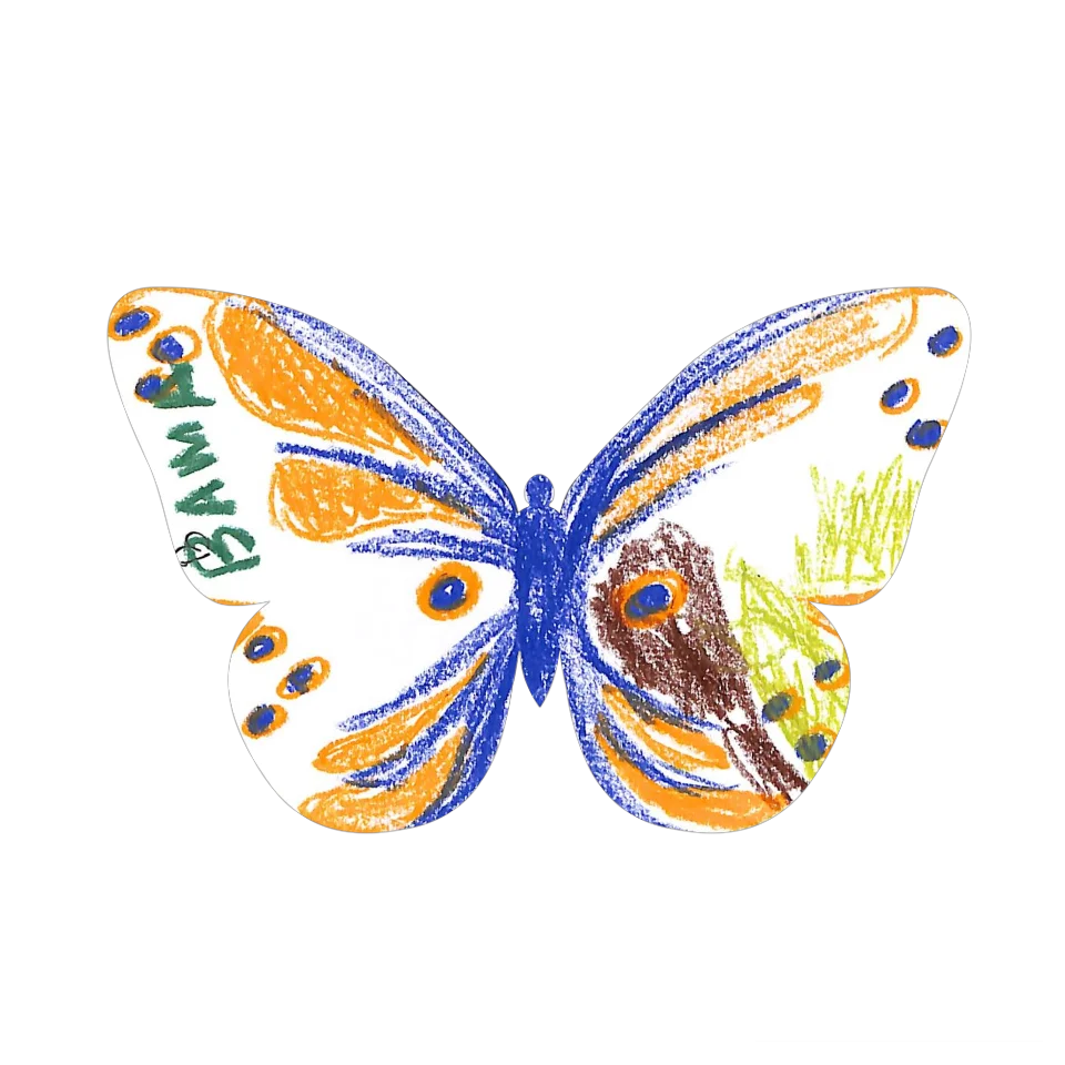 Original Butterfly Image