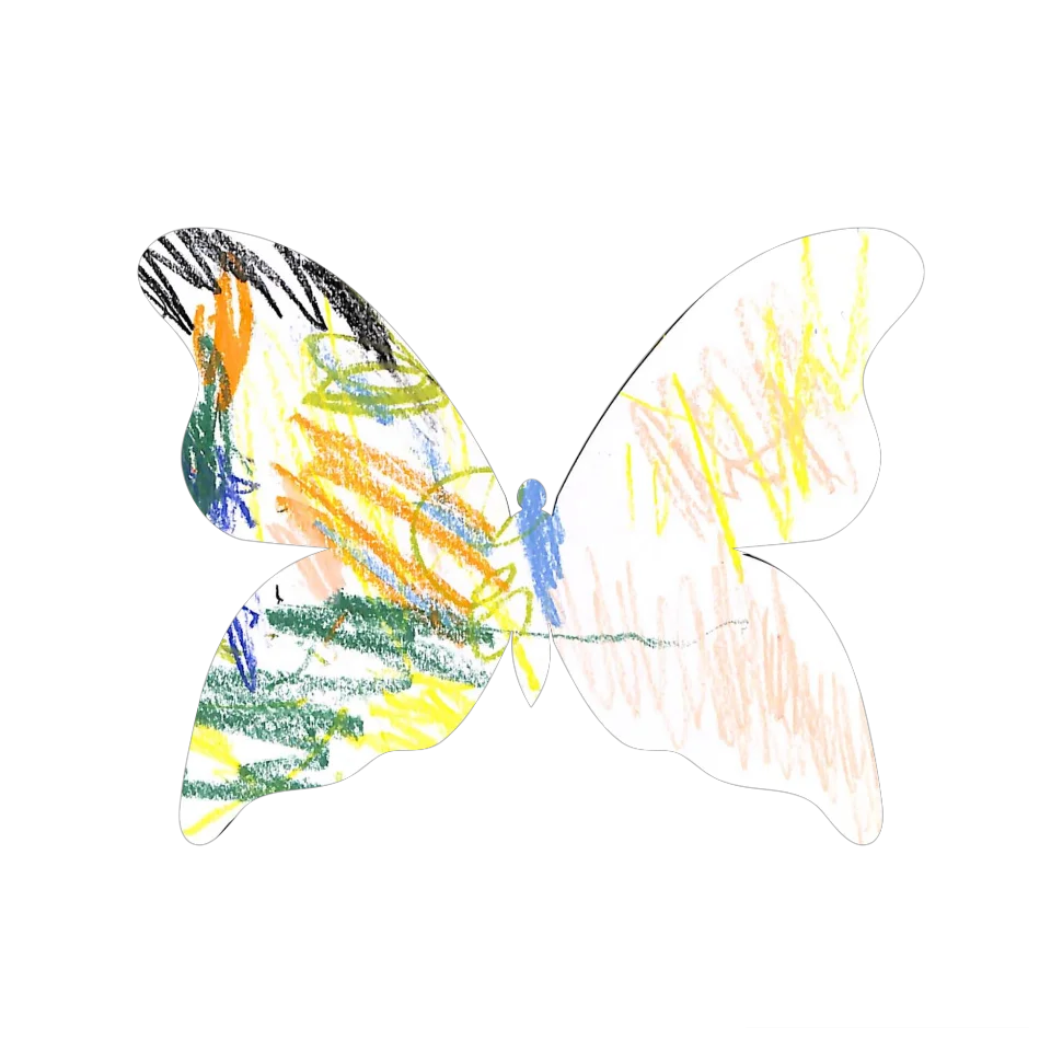 Original Butterfly Image