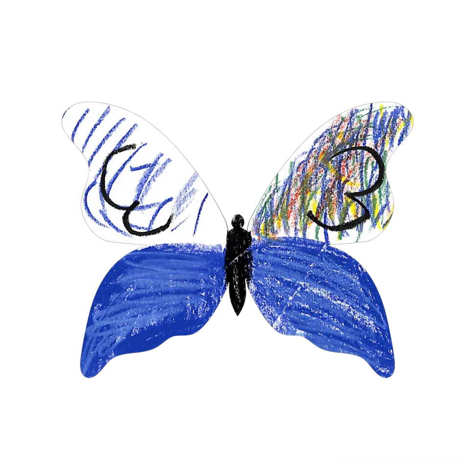 Original Butterfly Image