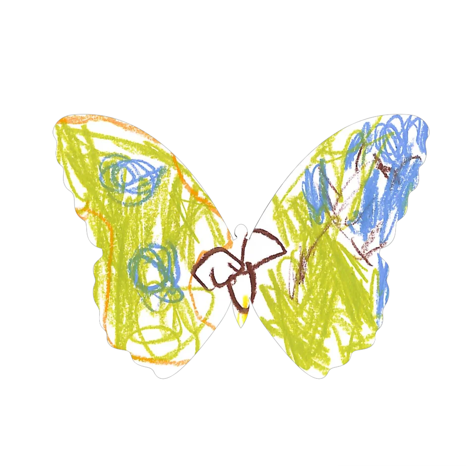 Original Butterfly Image