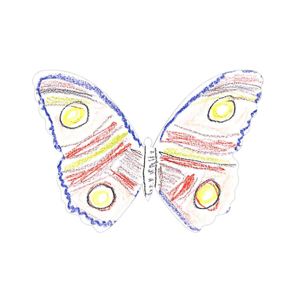 Original Butterfly Image