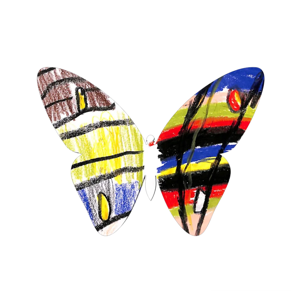 Original Butterfly Image