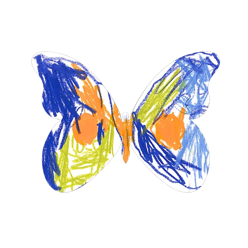 Original Butterfly Image