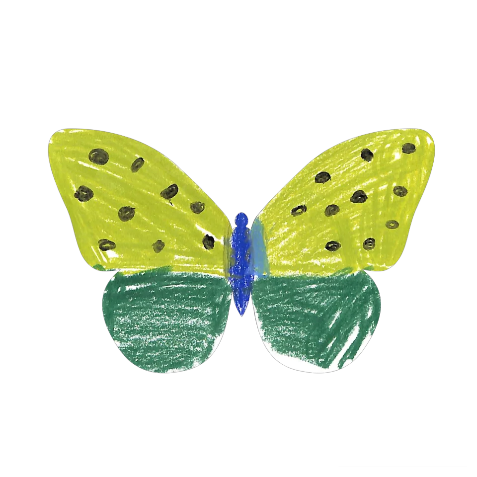 Original Butterfly Image