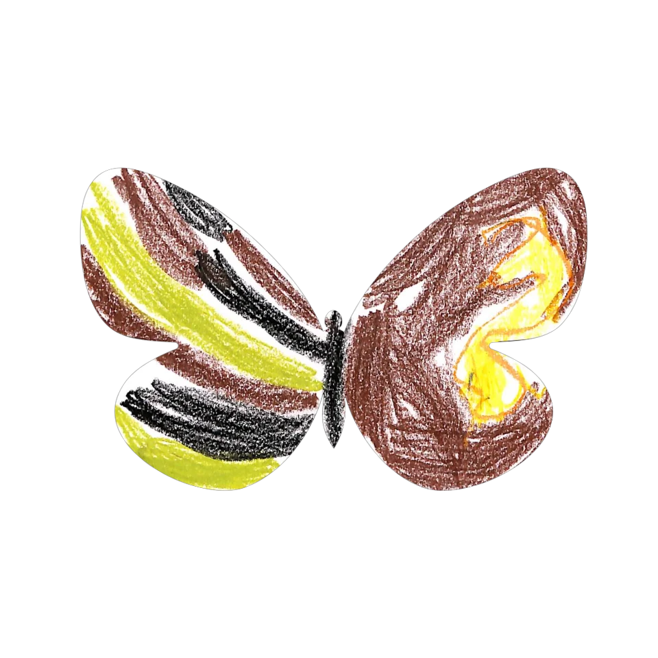 Original Butterfly Image