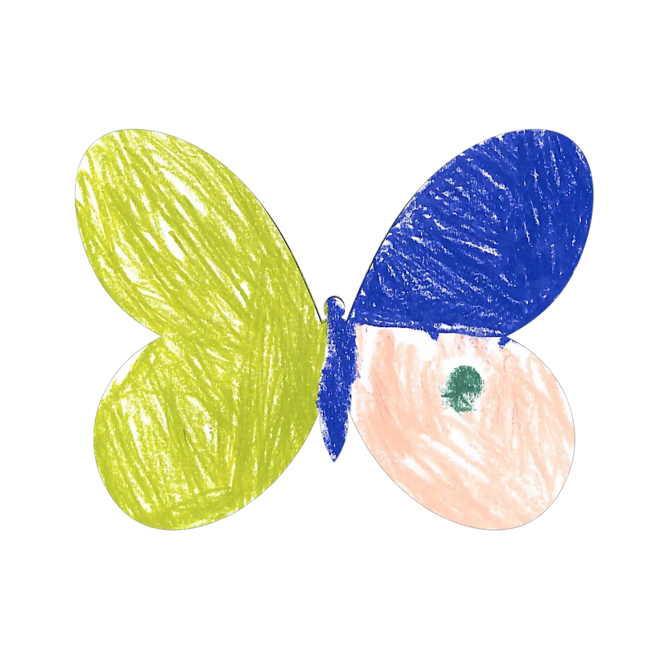 Original Butterfly Image