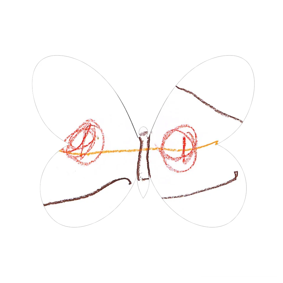 Original Butterfly Image