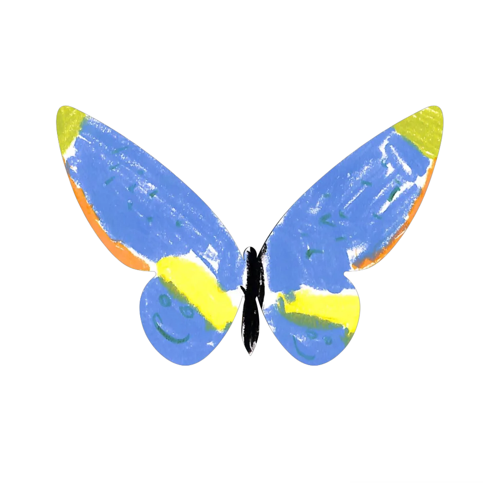 Original Butterfly Image
