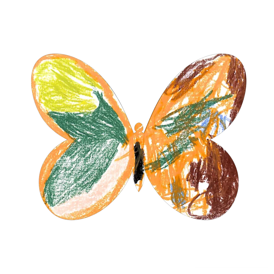 Original Butterfly Image