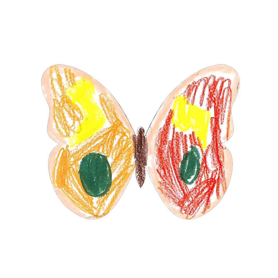 Original Butterfly Image