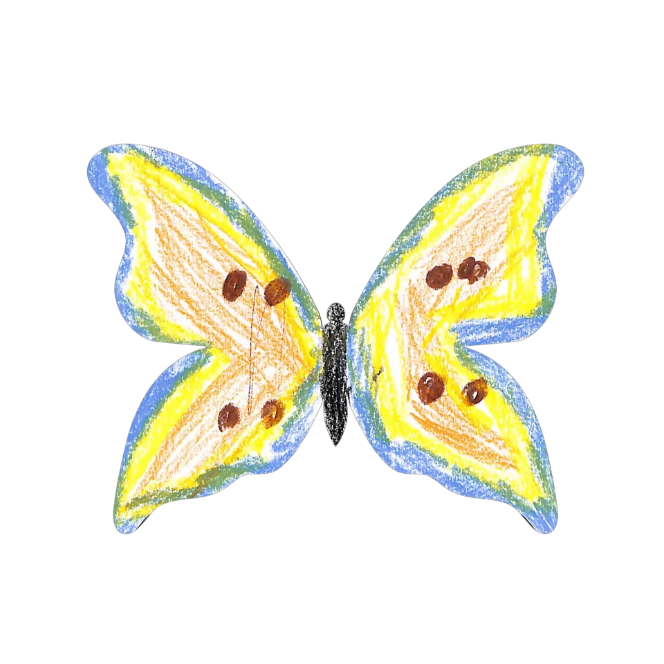Original Butterfly Image