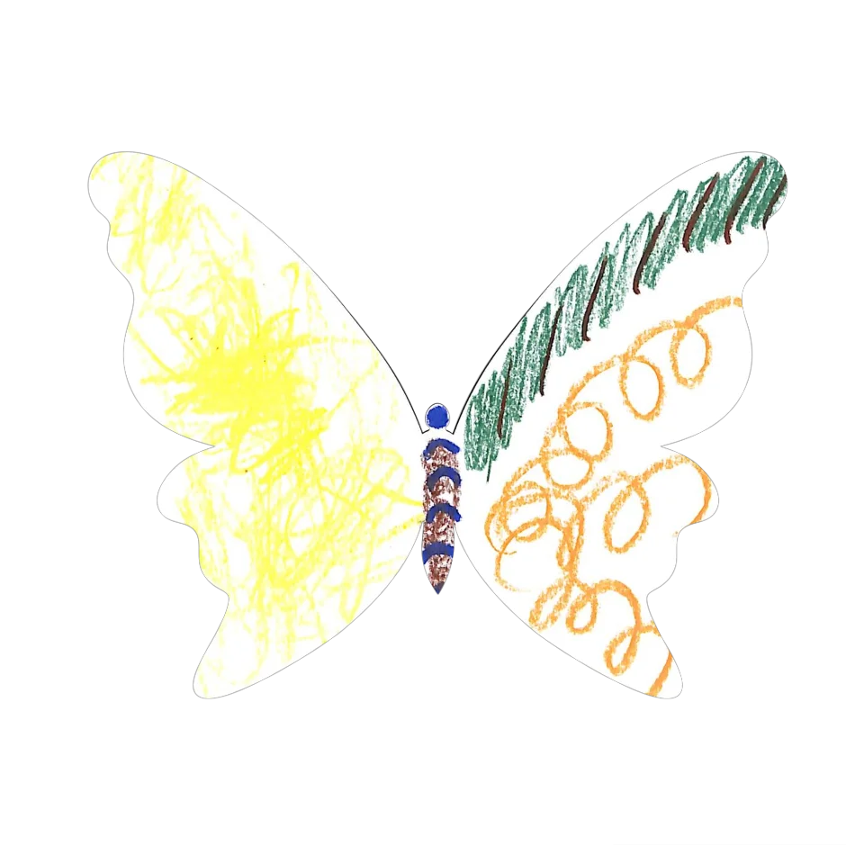 Original Butterfly Image